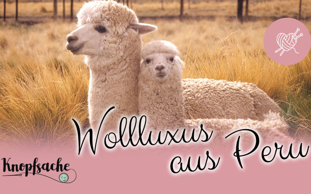 Wollluxus aus Peru